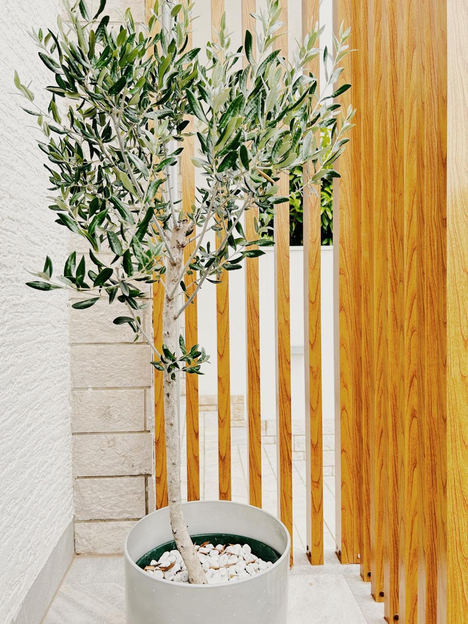 Apartamento Sunny House Zambratija  Exterior foto